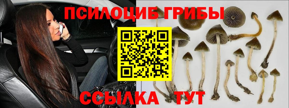 Псилоцибиновые грибы мухоморы Сергиев Посад