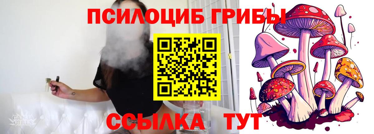 Галлюциногенные грибы Psilocybe  Псилоцибиновые грибы ЛСД  Сергиев Посад  Вход с VPN 